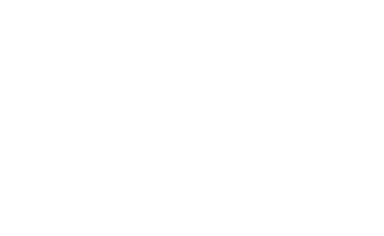 LAVE begeleiding
